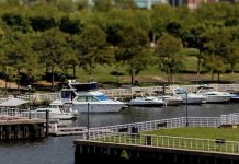 Marina Life @ Wiggins Park