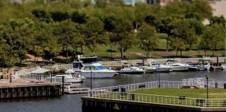 Marina Life @ Wiggins Park