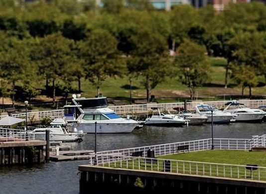 Marina Life @ Wiggins Park