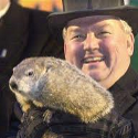 groundhog
