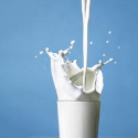milk