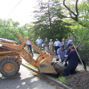 treplanting